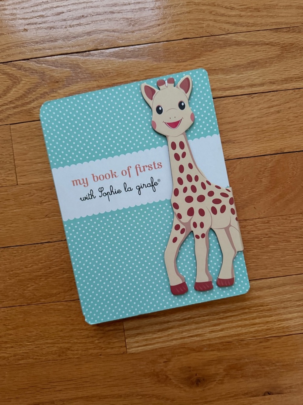 Teal 'My Book of Firsts' Baby Keepsake